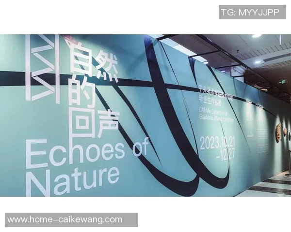 徐昕的艺术探索之旅：从传统到现代的跨越与融合