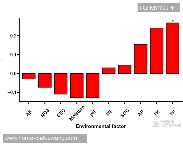 数据分析V5节奏表现探讨与优化策略研究